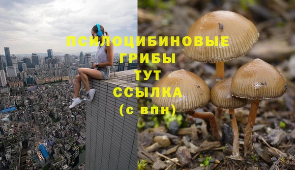 прущий лед Куйбышев