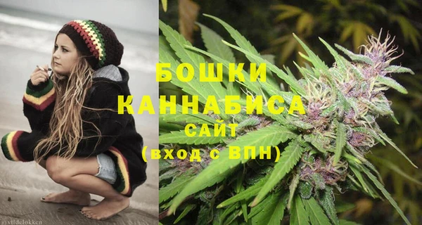 PSILOCYBIN Кукмор