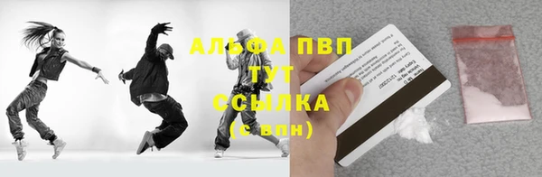прущие грибы Костерёво