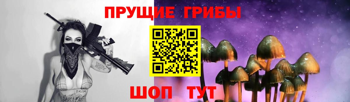 Галлюциногенные грибы мицелий Качканар